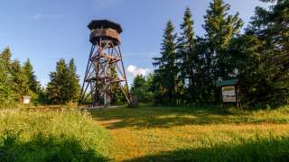 Ein Aussichtsturm auf einer Waldlichtung in warmem Sonnenlicht.