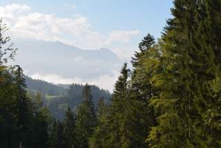 Blick auf bewaldete Berge mit Nadelbäumen im Vordergrund und im Hintergrund von Wolken umhüllte Berggipfel unter blauem Himmel.
