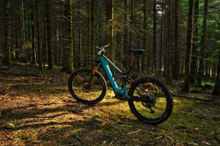 Ein blau-schwarzes Mountainbike steht auf moosbedecktem Waldboden, umgeben von hohen Bäumen, durch die Sonnenlicht fällt.