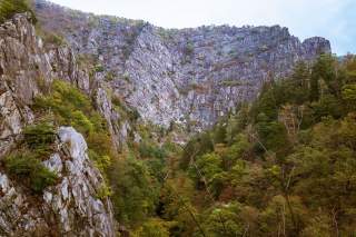 Blick auf eine bewaldete Schlucht mit steilen, felsigen Klippen und teils herbstlich gefärbtem Laub. Der Himmel ist leicht bewölkt.