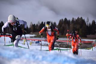 Mehrere Skibergsteiger in Wettkampfkleidung erklimmen mit Stöcken einen schneebedeckten Hang, im Hintergrund sind Bäume und eine bewölkte Himmelssituation zu sehen.