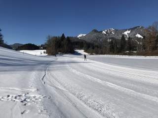 Zwei Personen sind beim Langlaufen auf einer präparierten Schneeloipe vor bewaldeten Bergen und unter einem klaren blauen Himmel unterwegs.