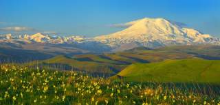 Berglandschaft mit schneebedecktem Gipfel im Hintergrund, grünen Hügeln und gelben Blumen im Vordergrund unter blauem Himmel.