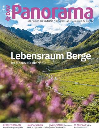 Blick auf ein grünes Bergtal mit Blumen im Vordergrund und schroffen Berggipfeln unter blauem Himmel. Ein kleiner Bach fließt durch das Tal.